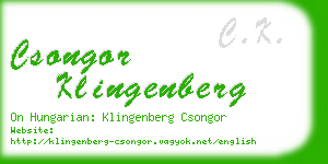 csongor klingenberg business card